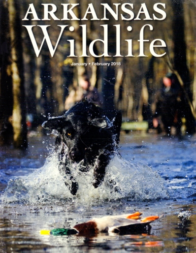 Arkansas Wildlife January 01, 2018 Issue Cover