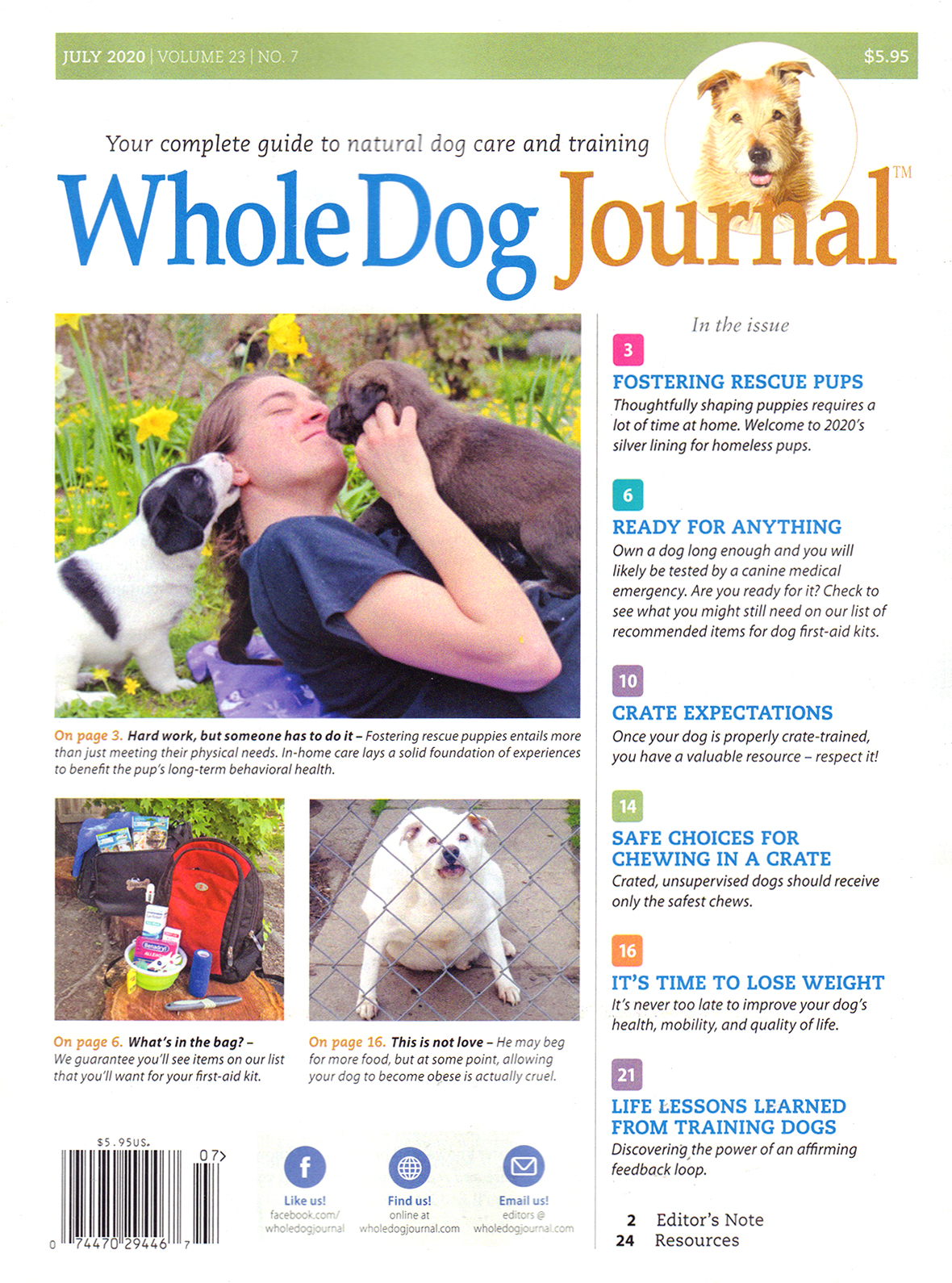 Whole-Dog-Journal July 01, 2020 Issue Cover