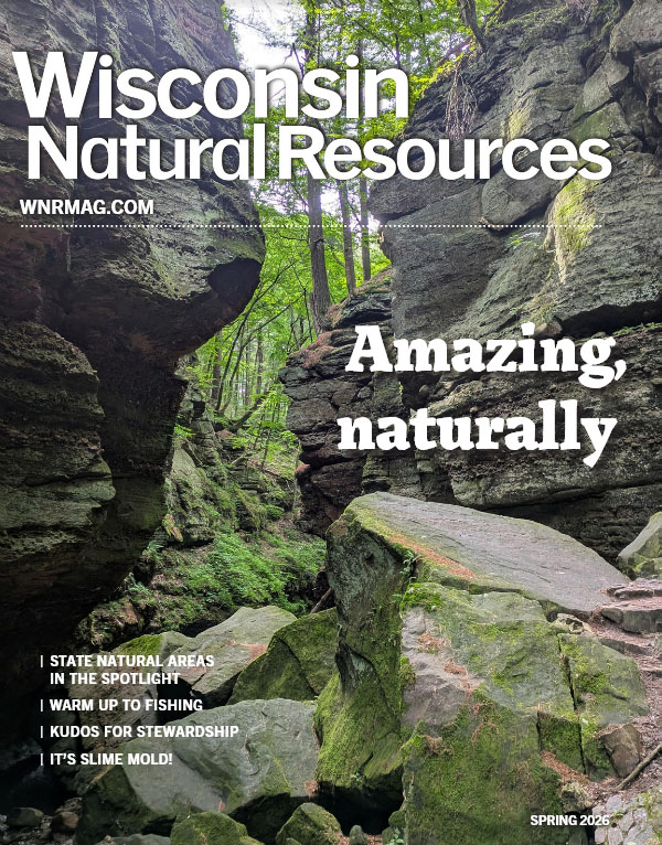 Wisconsin-Natural-Resources March 01, 2026 Issue Cover