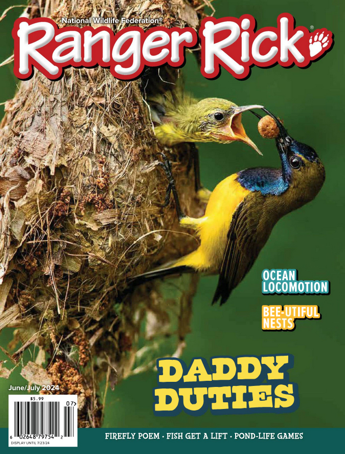 Ranger-Rick June 01, 2024 Issue Cover