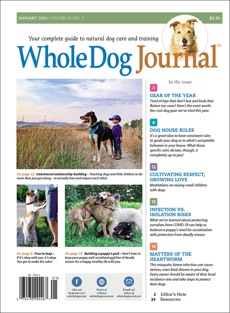 Whole-Dog-Journal January 01, 2021 Issue Cover