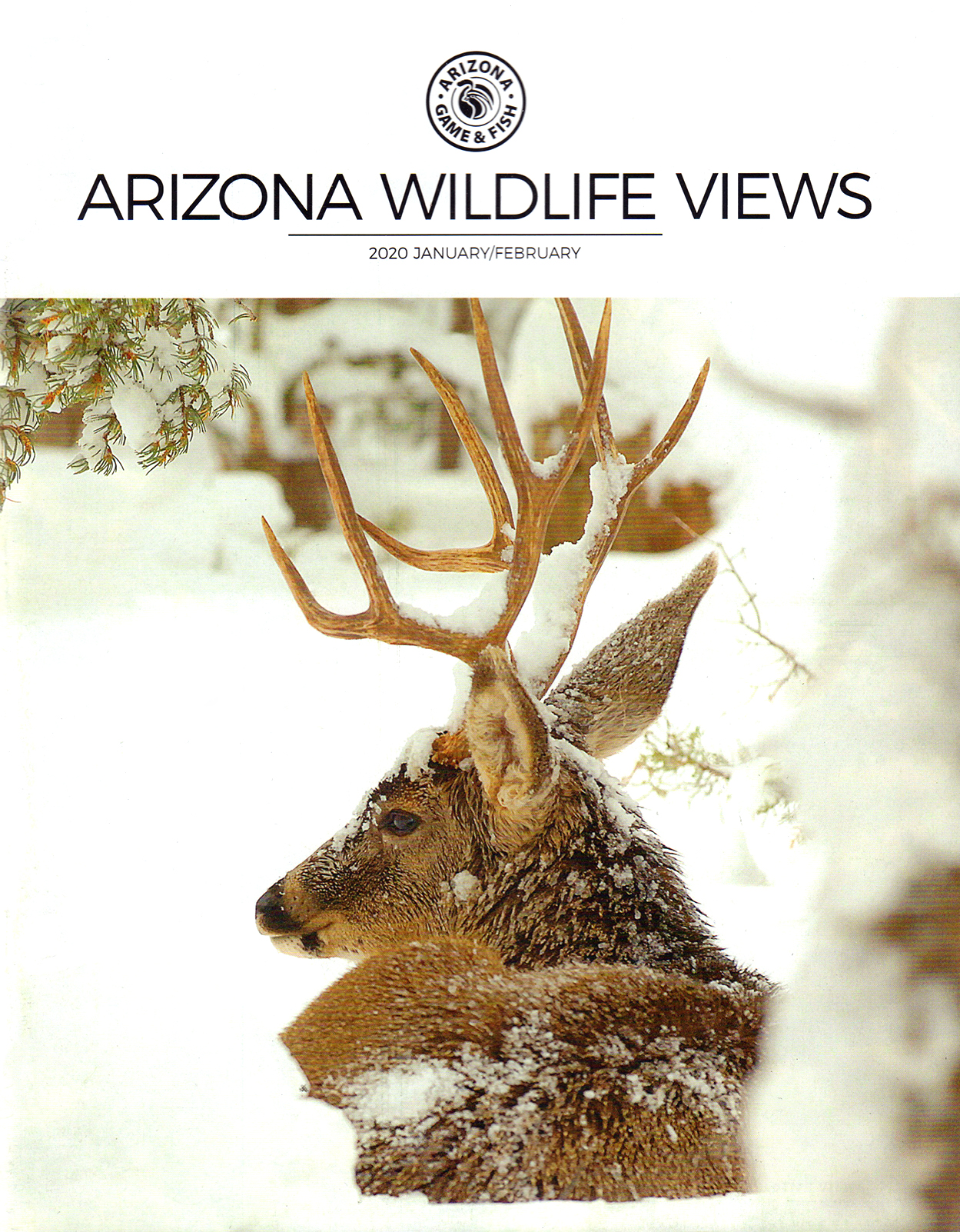 Arizona-Wildlife-Views January 01, 2020 Issue Cover