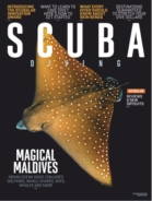 Scuba-Diving March 01, 2019 Issue Cover