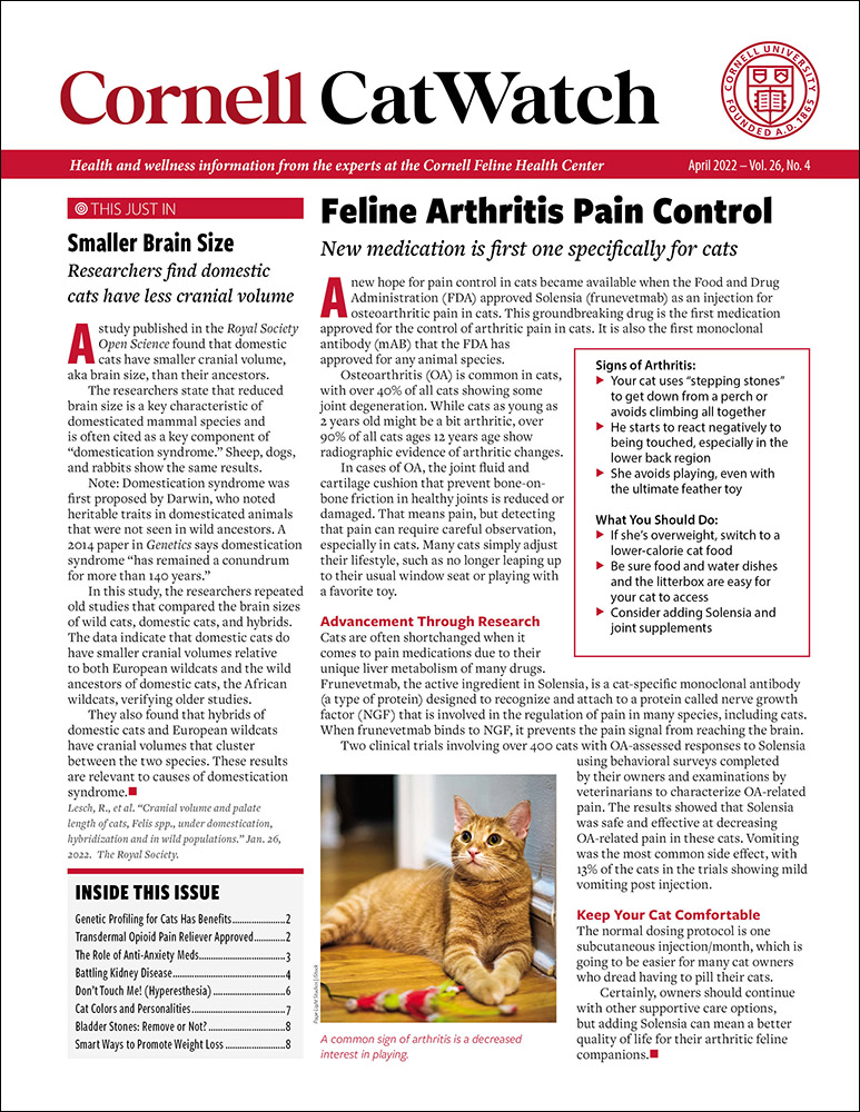 Catwatch April 01, 2022 Issue Cover