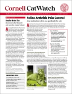 Catwatch April 01, 2022 Issue Cover