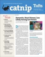 Catnip July 01, 2022 Issue Cover