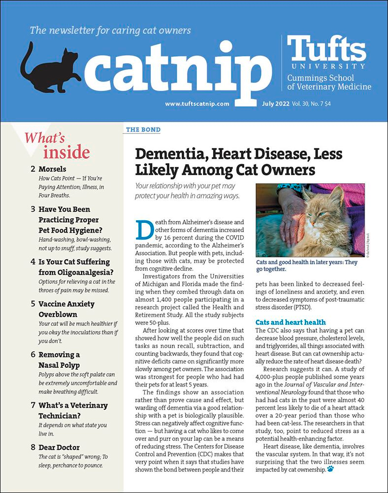 Catnip July 01, 2022 Issue Cover