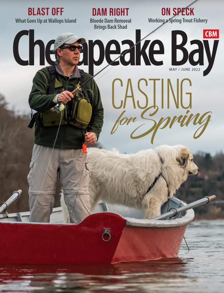 Chesapeake-Bay May 01, 2022 Issue Cover