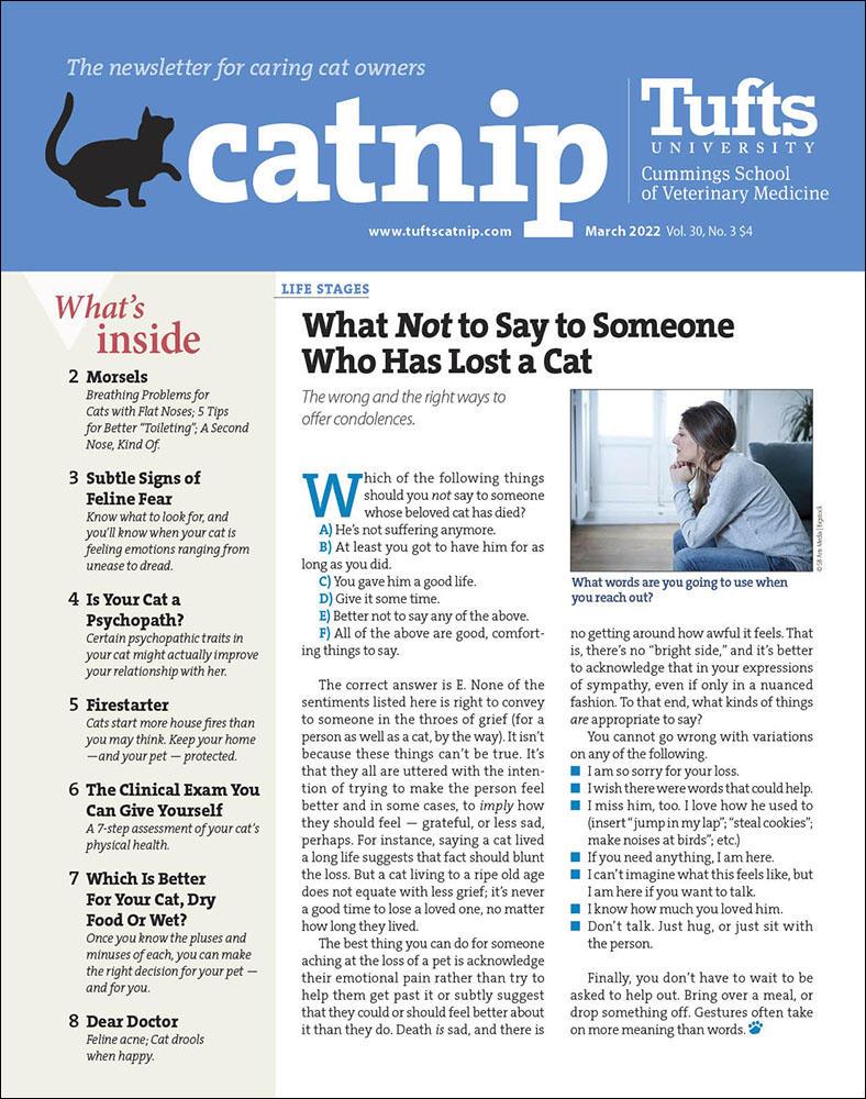 Catnip March 01, 2022 Issue Cover