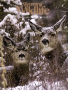 Wyoming-Wildlife April 01, 2008 Issue Cover