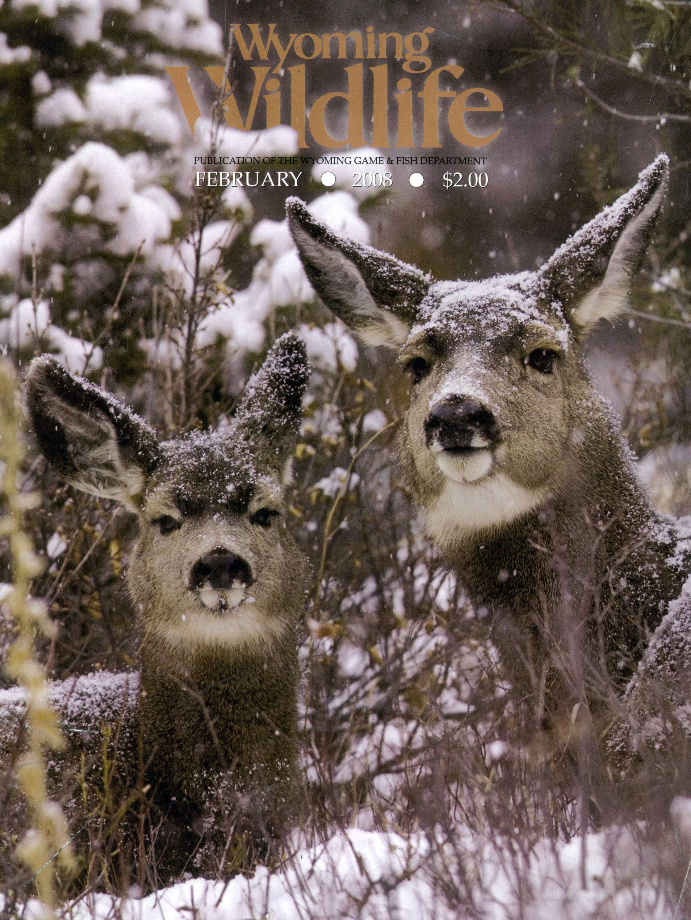 Wyoming-Wildlife April 01, 2008 Issue Cover