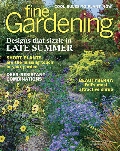 Fine-Gardening December 01, 2019 Issue Cover