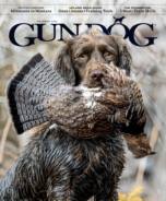 Gun-Dog October 01, 2024 Issue Cover