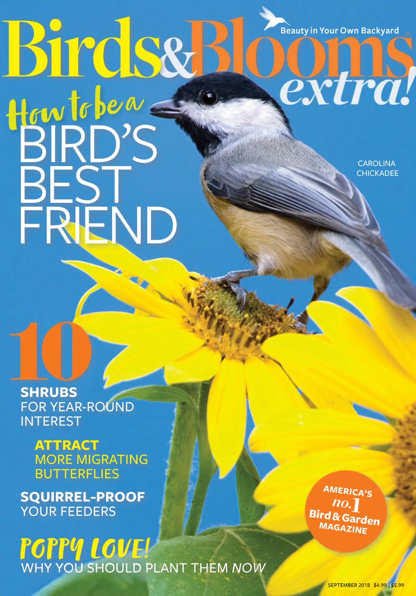 Birds-and-Blooms-Extra September 01, 2018 Issue Cover