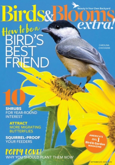 Birds & Blooms Extra September 01, 2018 Issue Cover