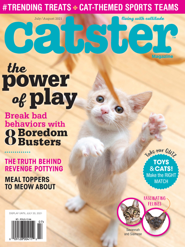 Catster July 01, 2021 Issue Cover