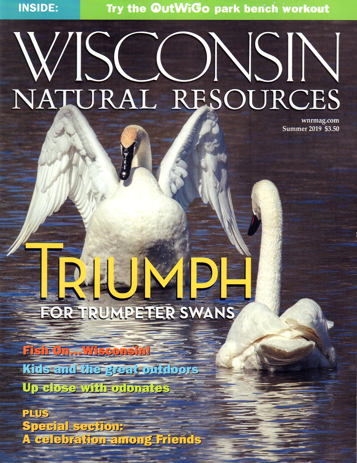 Wisconsin-Natural-Resources June 01, 2019 Issue Cover