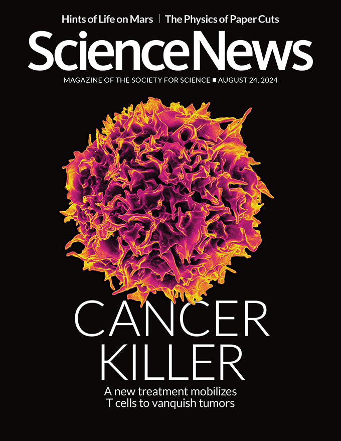 Science-News August 24, 2024 Issue Cover