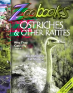 zoobooks February 01, 2015 Issue Cover