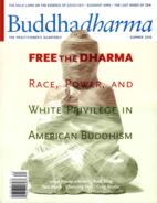 BUDDHADHARMA-THE-PRACTIONERS-QUARTERLY June 01, 2016 Issue Cover