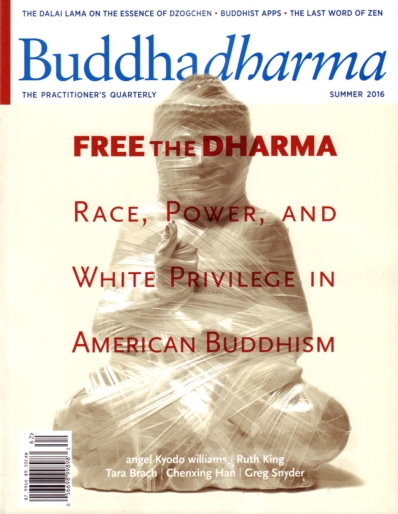 BUDDHADHARMA: THE PRACTIONER'S QUARTERLY June 01, 2016 Issue Cover
