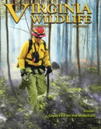 Virginia-Wildlife May 01, 2022 Issue Cover