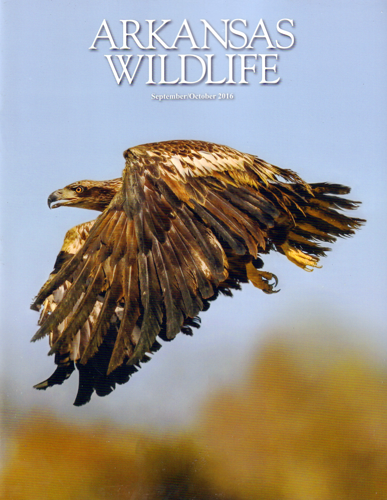 Arkansas-Wildlife September 01, 2016 Issue Cover