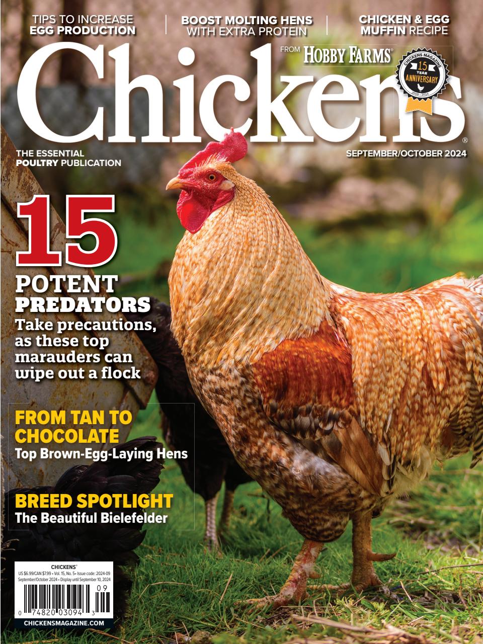 Chickens September 01, 2024 Issue Cover