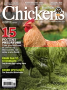 Chickens September 01, 2024 Issue Cover