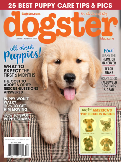Dogster October 01, 2023 Issue Cover