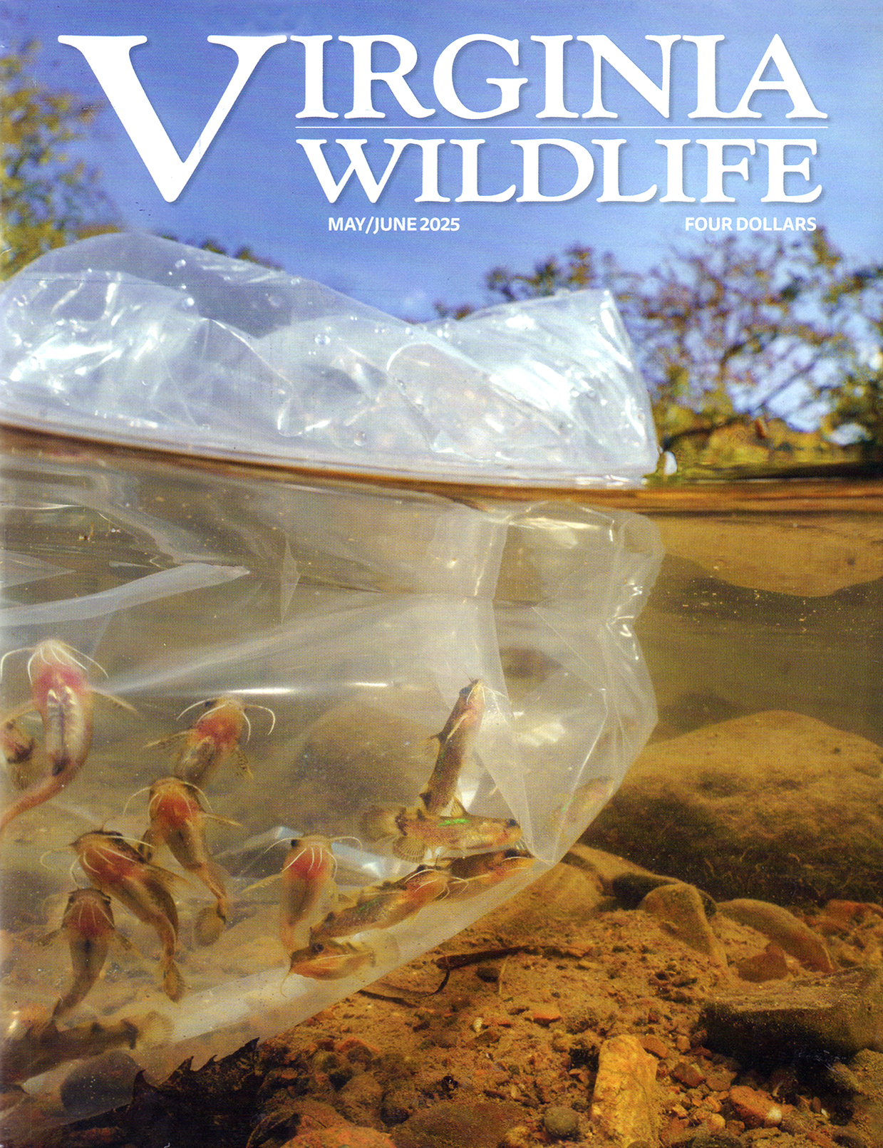 Virginia-Wildlife May 01, 2025 Issue Cover