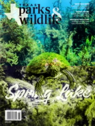 Texas-Parks-and-Wildlife June 01, 2019 Issue Cover