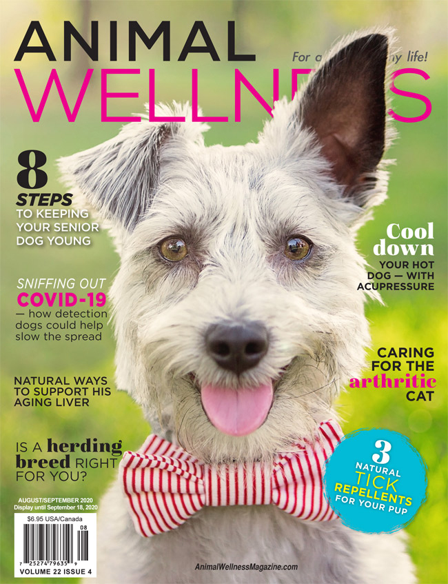 Animal-Wellness August 01, 2020 Issue Cover