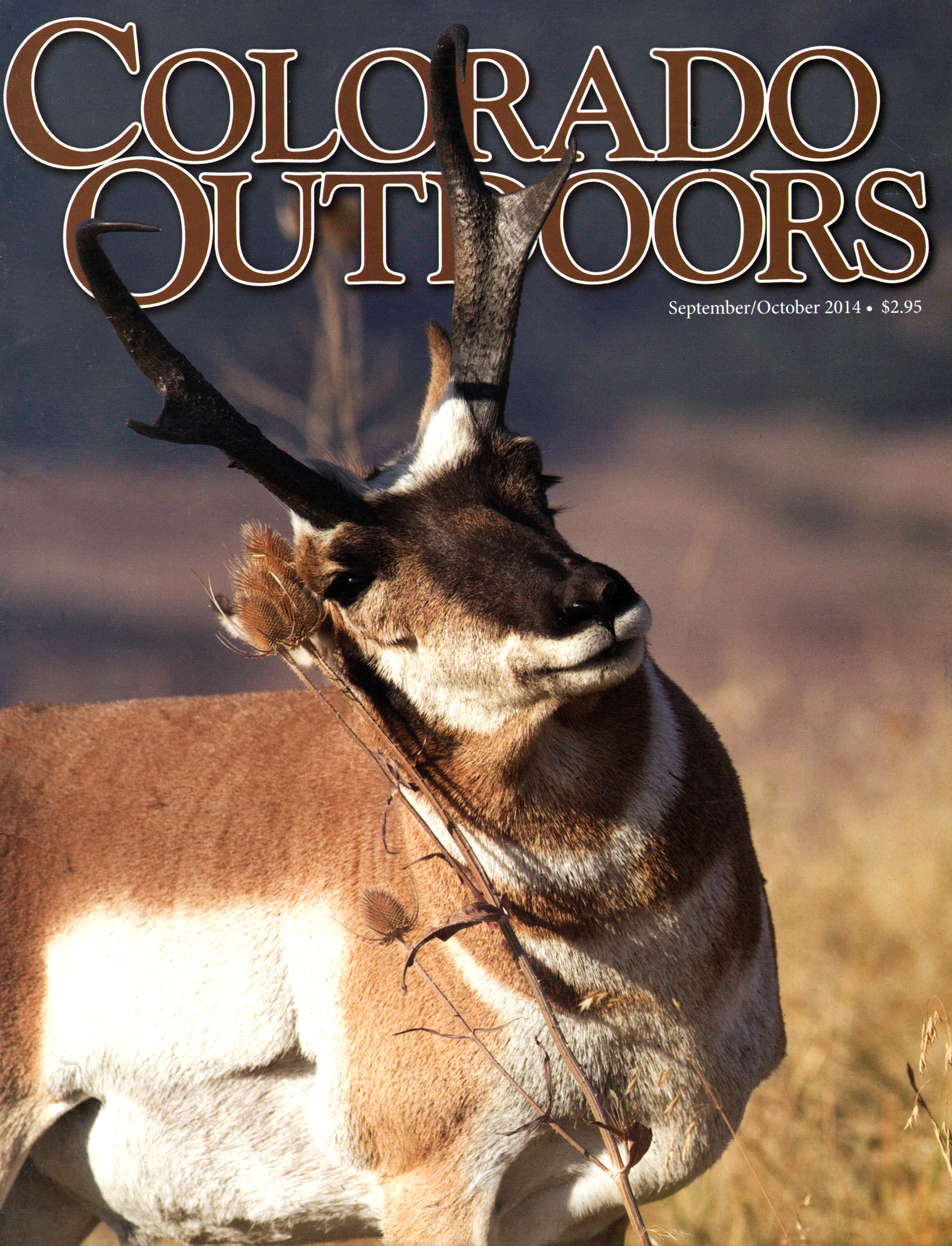 Colorado-Outdoors September 01, 2014 Issue Cover