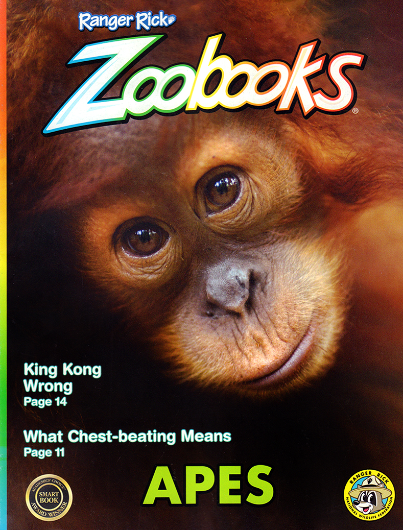 Zoobooks Magazine | Magazine-Agent.com