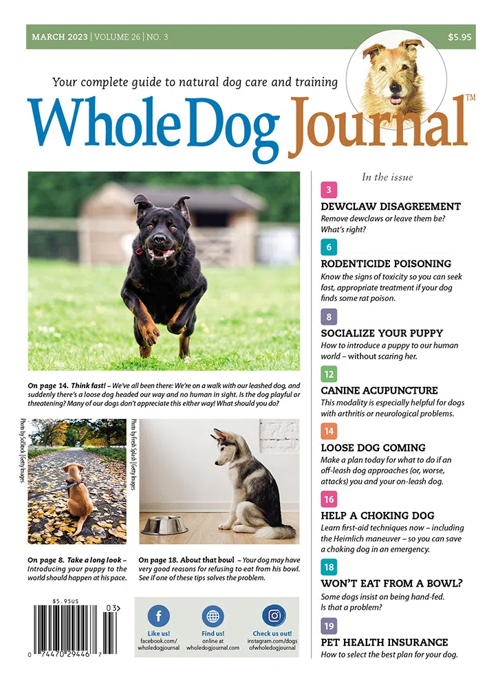 Whole-Dog-Journal March 01, 2023 Issue Cover