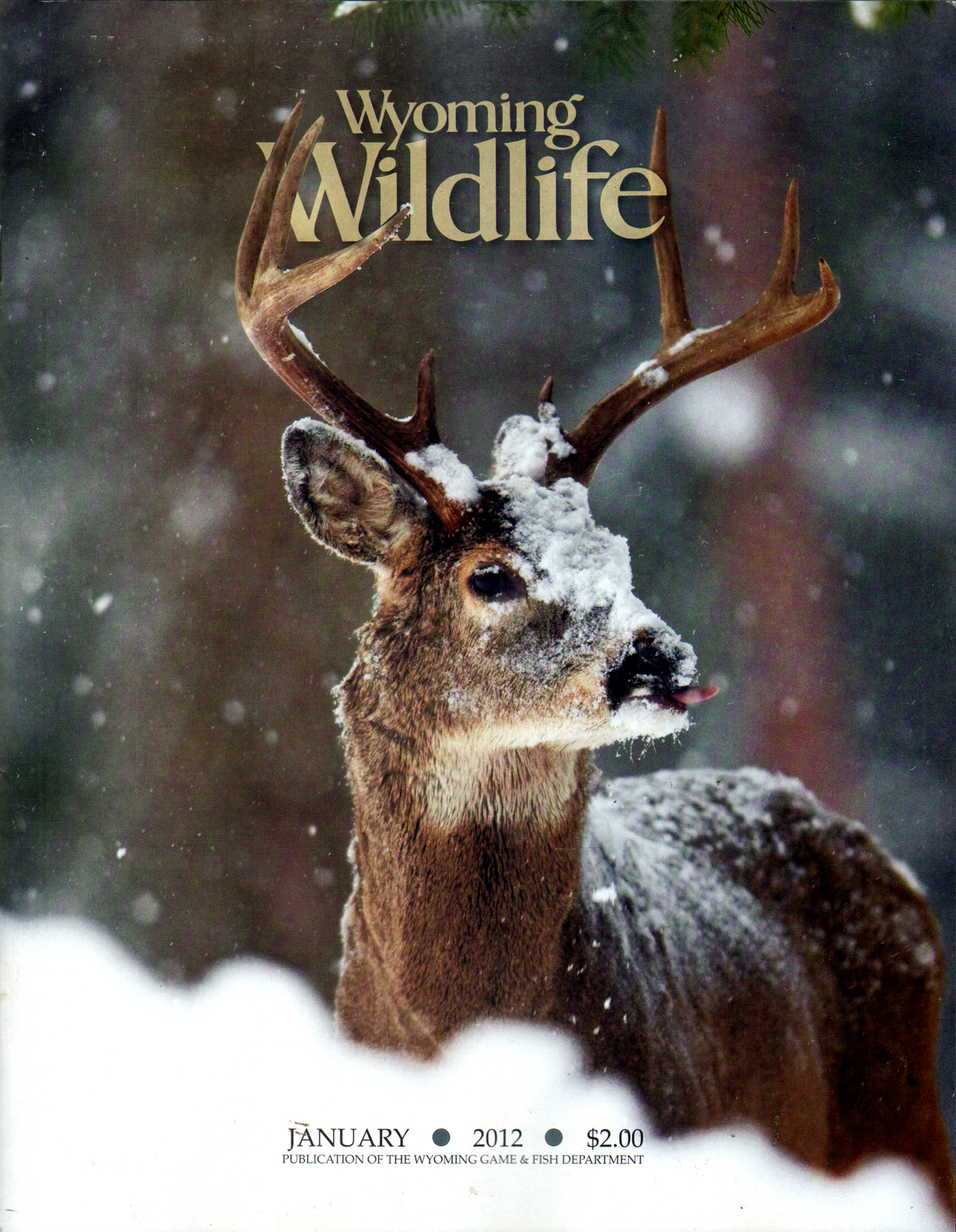 Wyoming-Wildlife January 01, 2012 Issue Cover