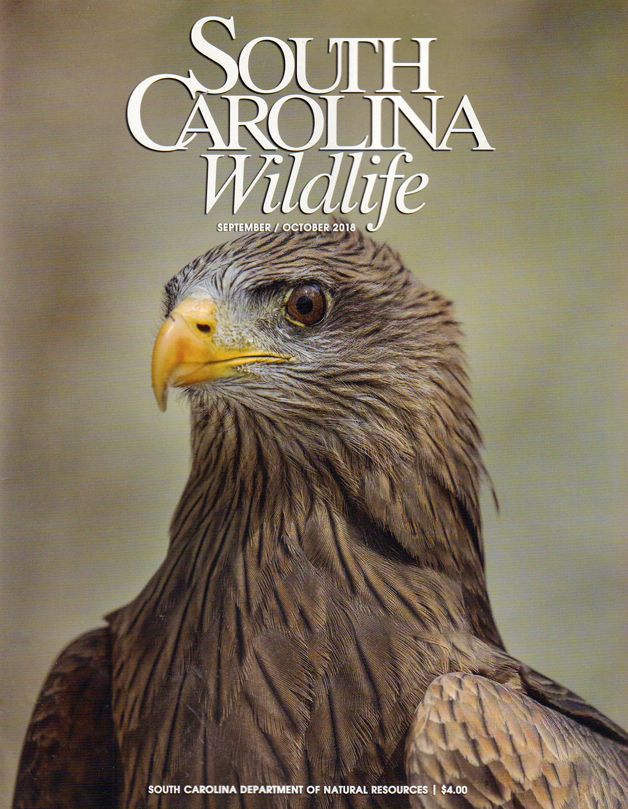 South-Carolina-Wildlife September 01, 2018 Issue Cover