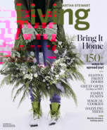 Martha-Stewart-Living December 01, 2017 Issue Cover