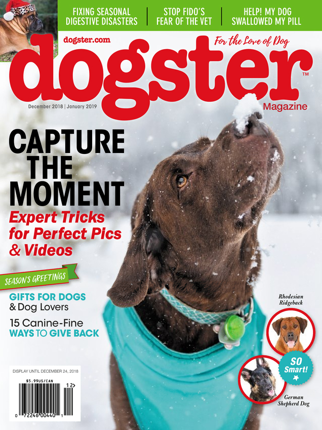 Dogster December 01, 2018 Issue Cover