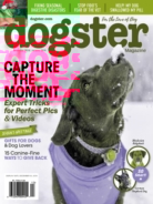 Dogster December 01, 2018 Issue Cover
