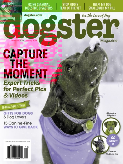 Dogster December 01, 2018 Issue Cover