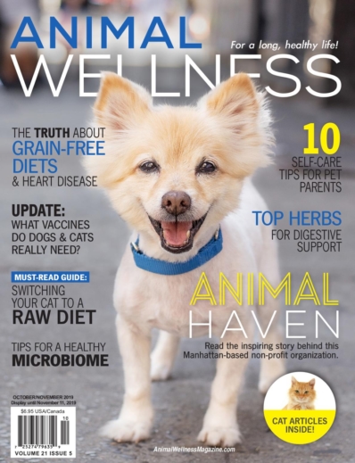 Animal Wellness October 01, 2019 Issue Cover