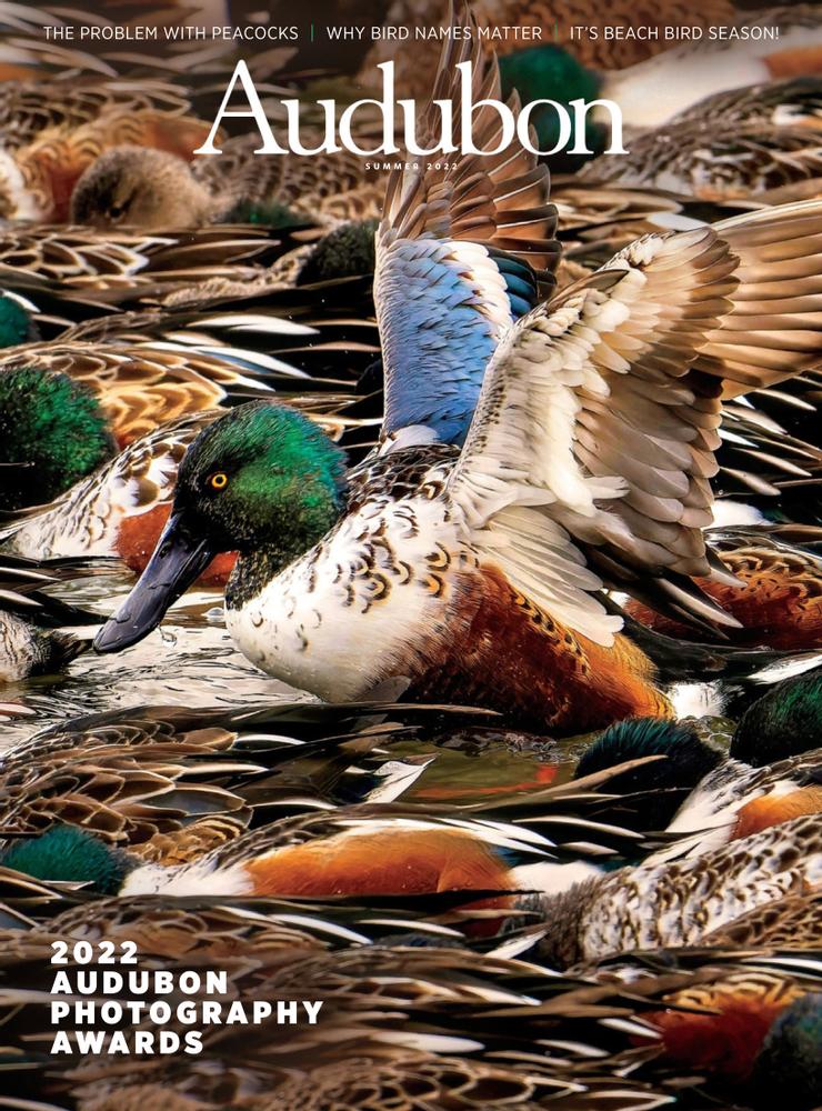 Audubon June 01, 2022 Issue Cover