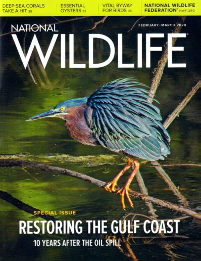 National Wildlife February 01, 2020 Issue Cover