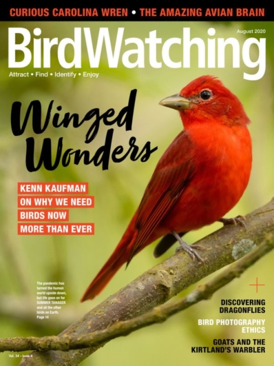 Bird Watching August 01, 2020 Issue Cover