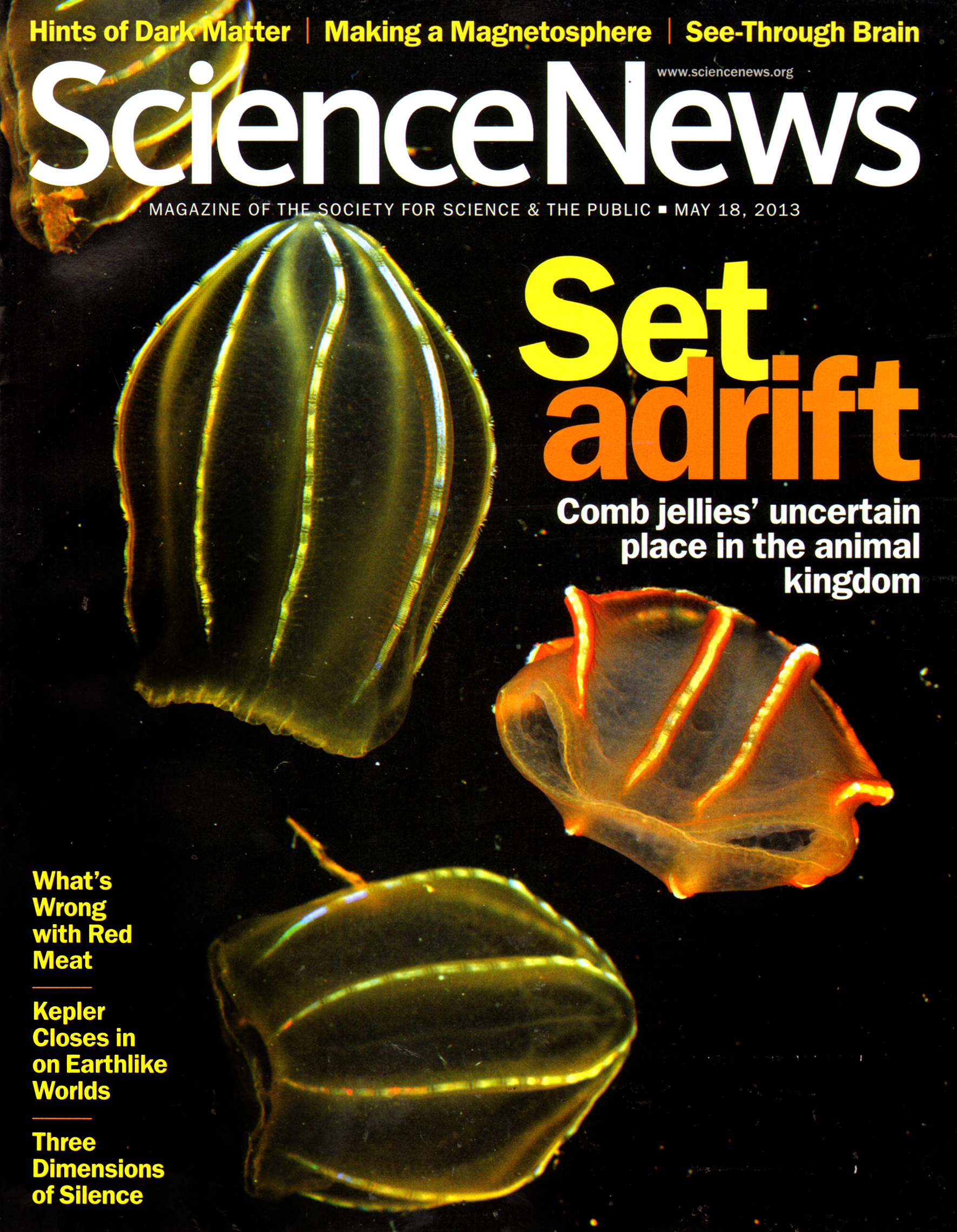 Science-News May 20, 2013 Issue Cover