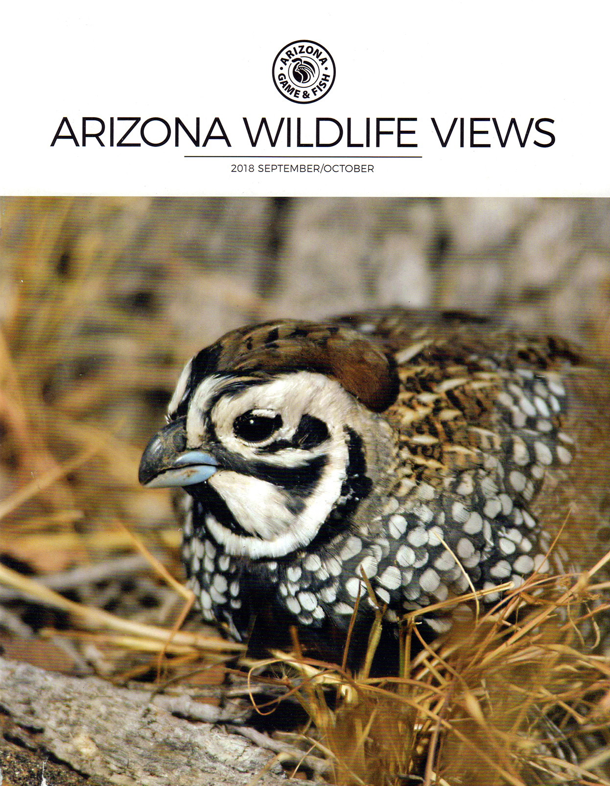 Arizona-Wildlife-Views September 01, 2018 Issue Cover