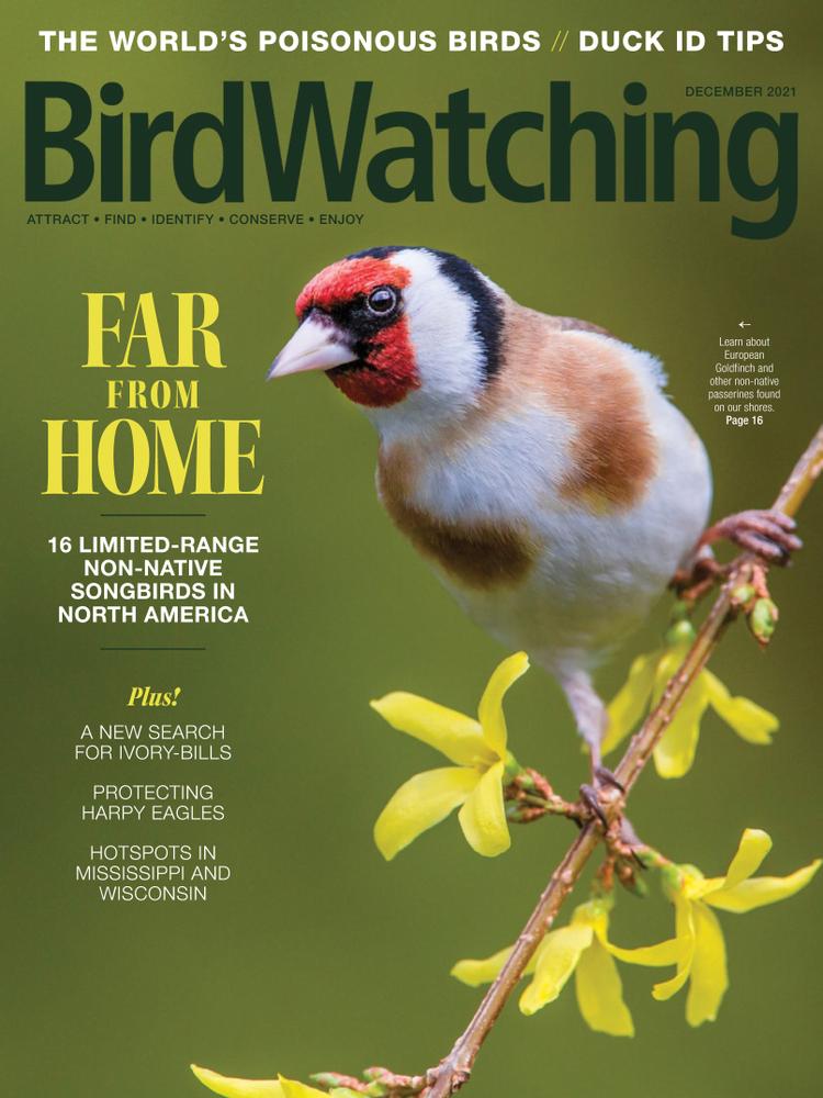 Bird-Watching December 01, 2021 Issue Cover