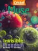 Muse January 01, 2025 Issue Cover